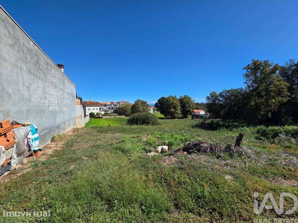 Terreno para construção em Santa Comba Dão e Couto do Mosteiro - Grande imagem: 3/24
