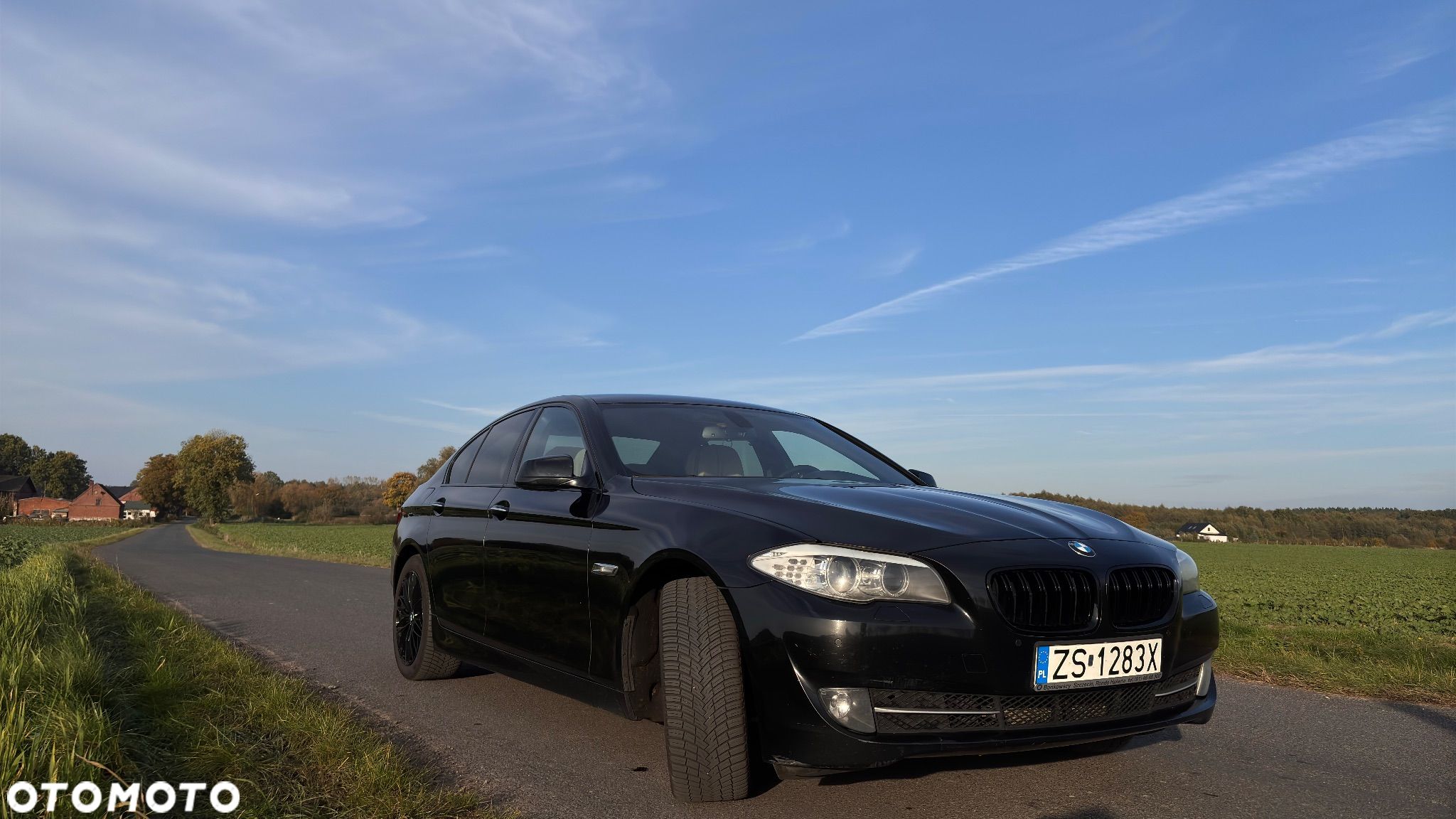 BMW Seria 5 - 1