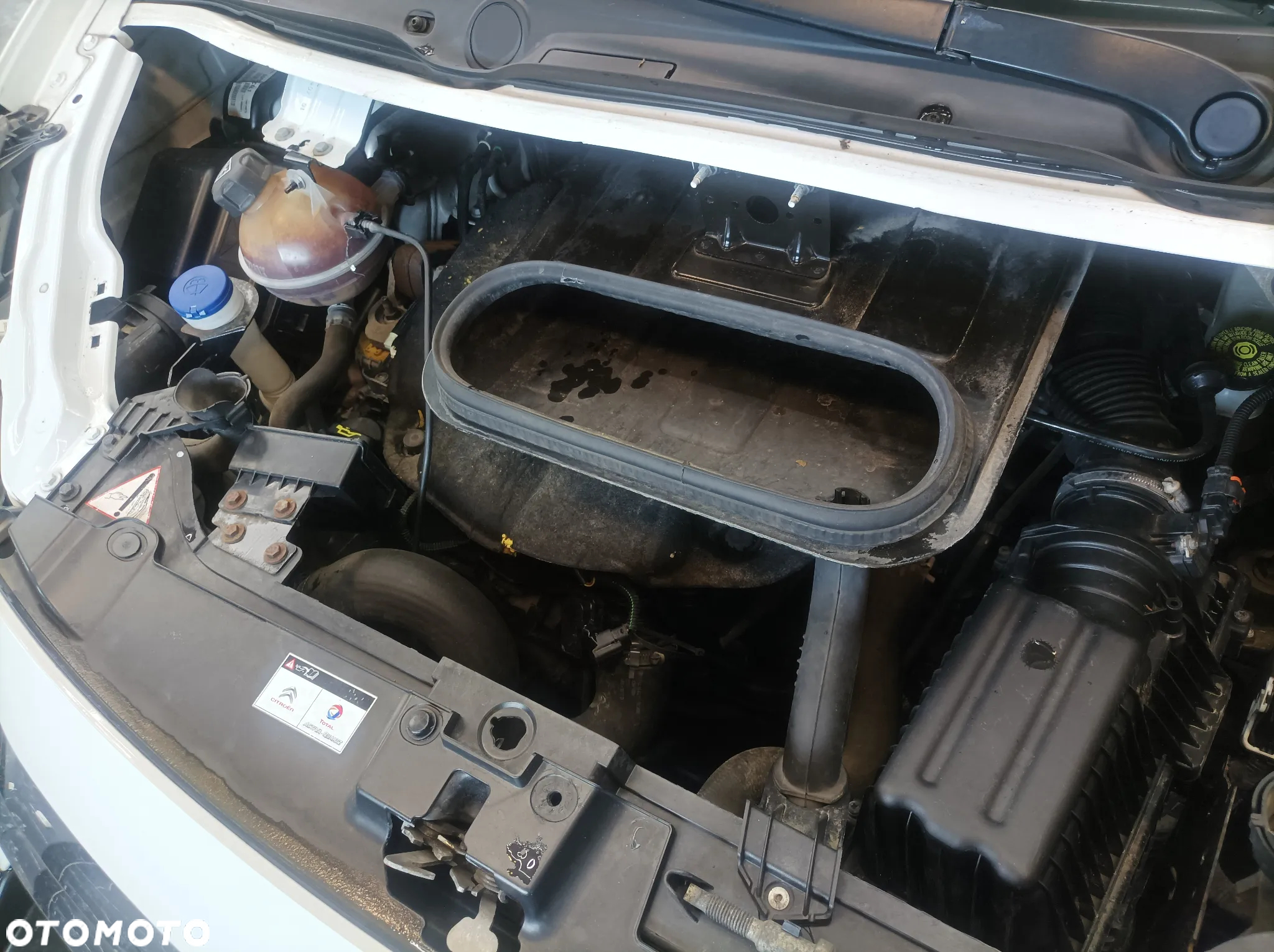 Citroën Jumpy Lift 2016 2.0 HDI Furgon Van Hak Szafka Serwisowa Warsztatowa BOTT Klimatyzacja - 26
