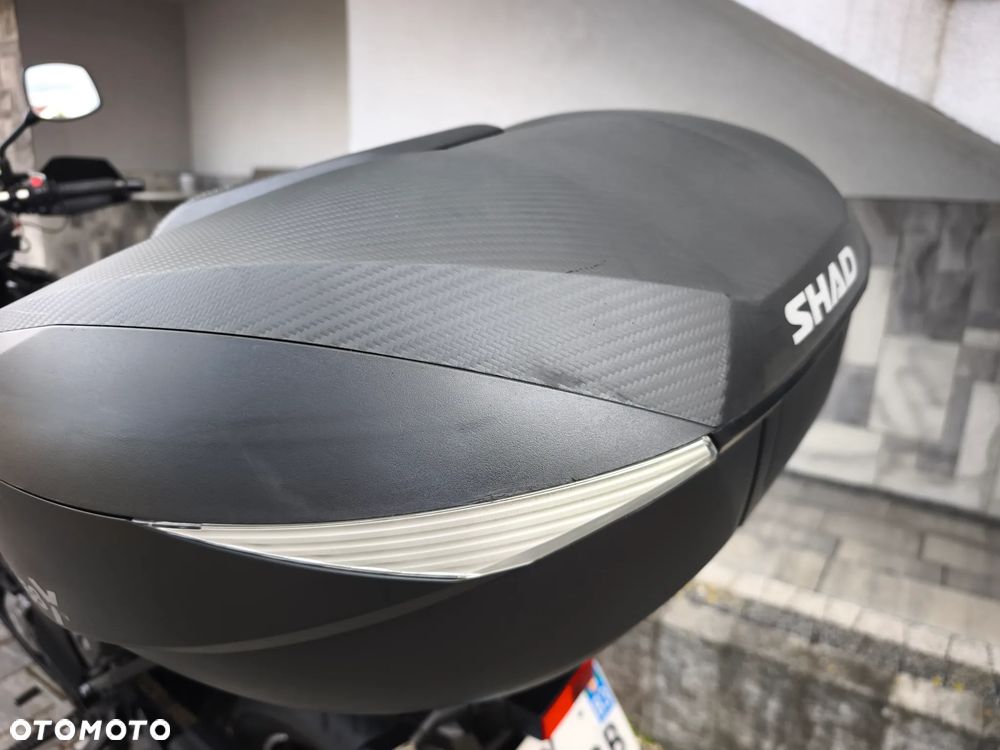 Suzuki DL - 29