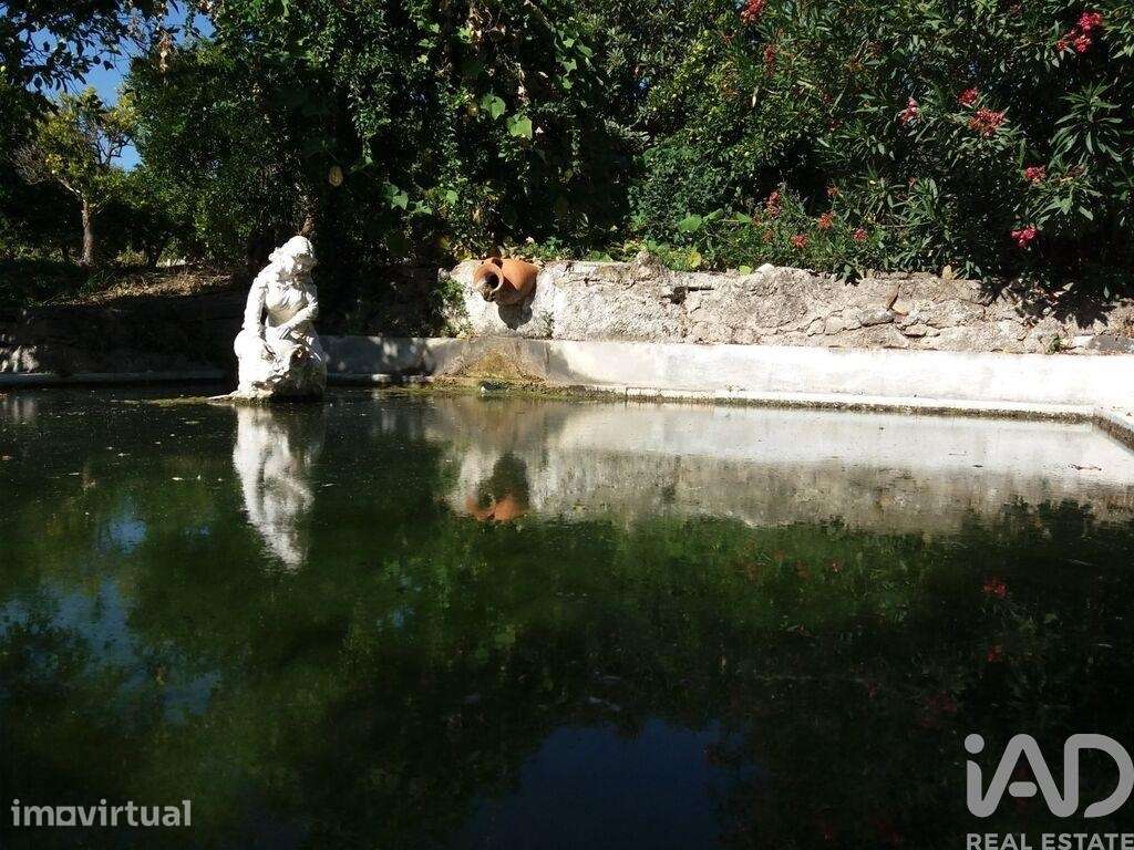 Quinta agricola em Gáfete de 910 m2 - Grande imagem: 3/5