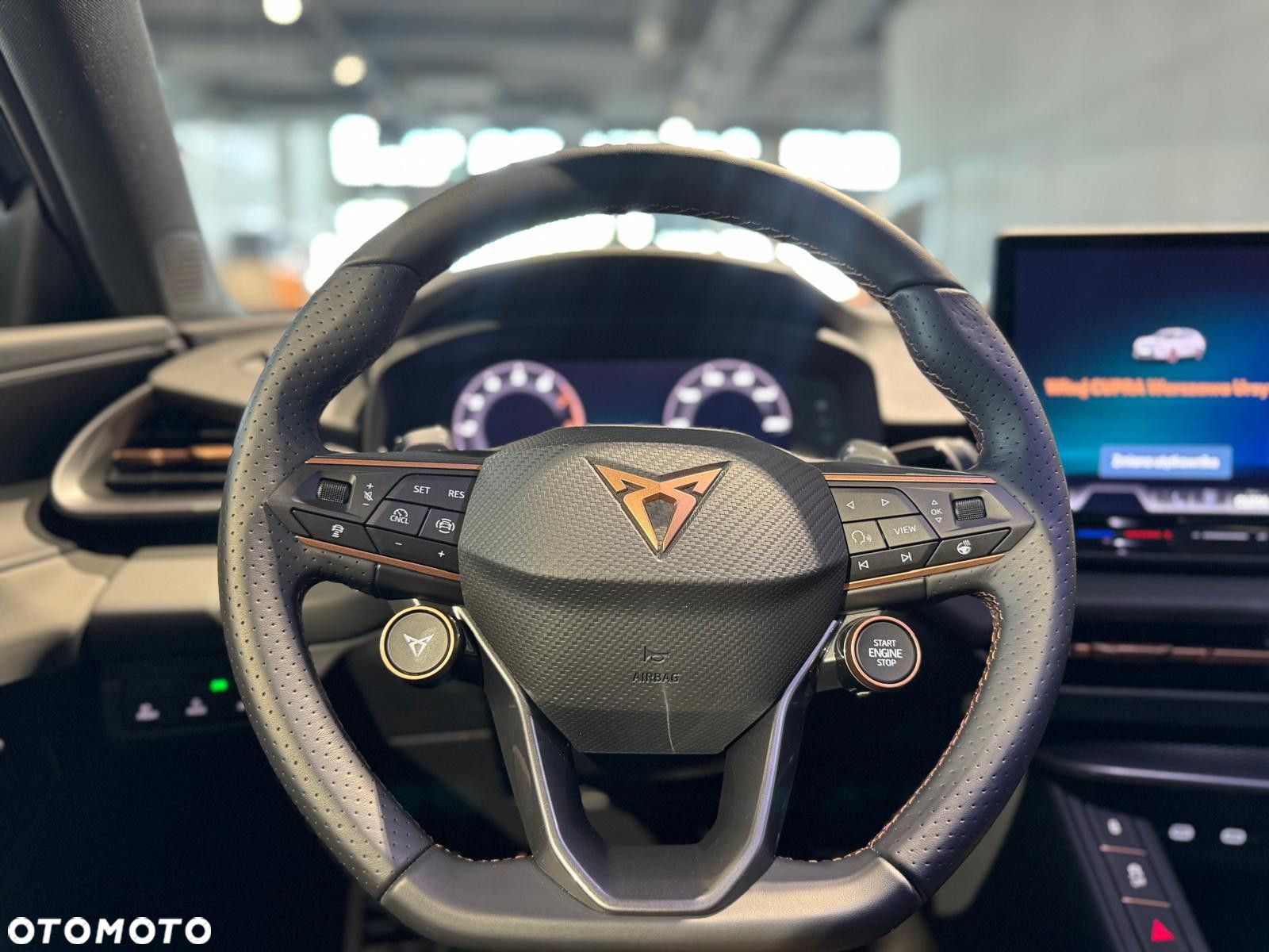 Cupra Terramar - 16