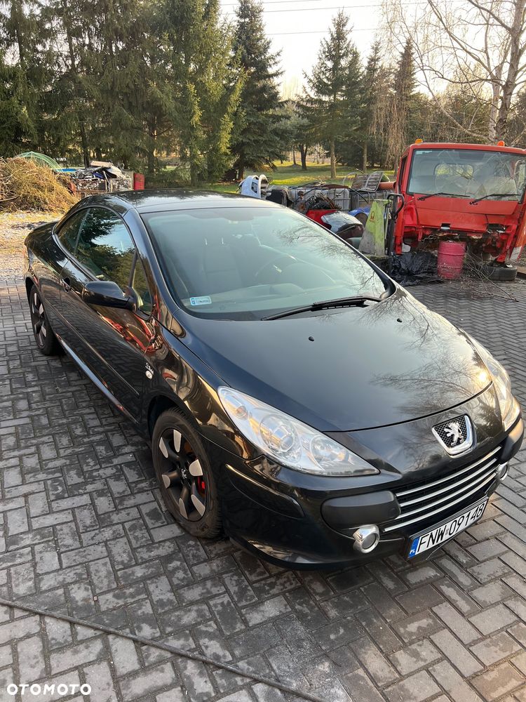 Peugeot 307 1.6 Sporty - 14
