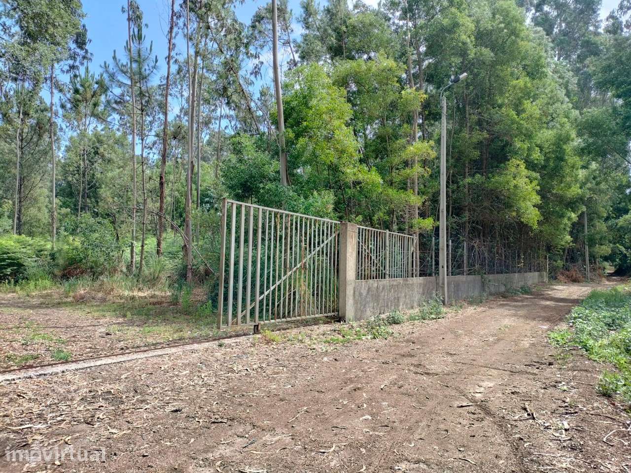 Terreno com mais de 12.000 m2 em Idanha, Espinho - Grande imagem: 3/6