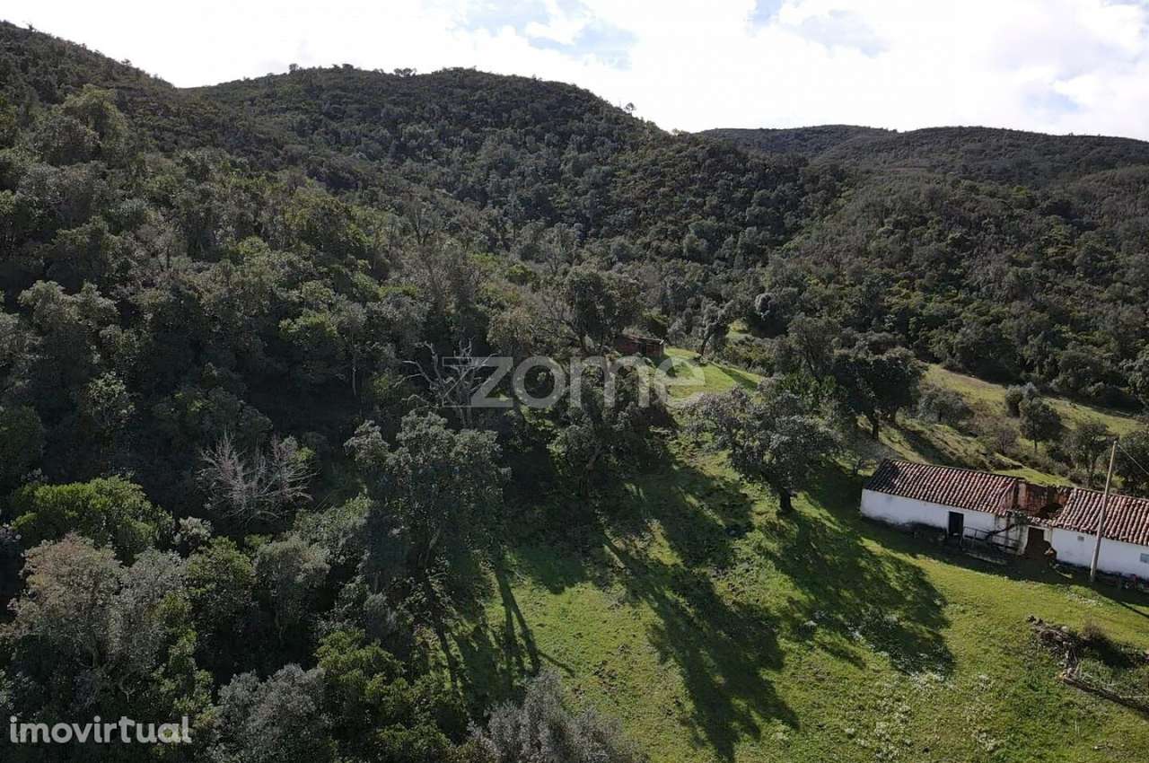 Fantástica Moradia para recuperar, em lote de 10.800m2, em Sapeira - Grande imagem: 3/22