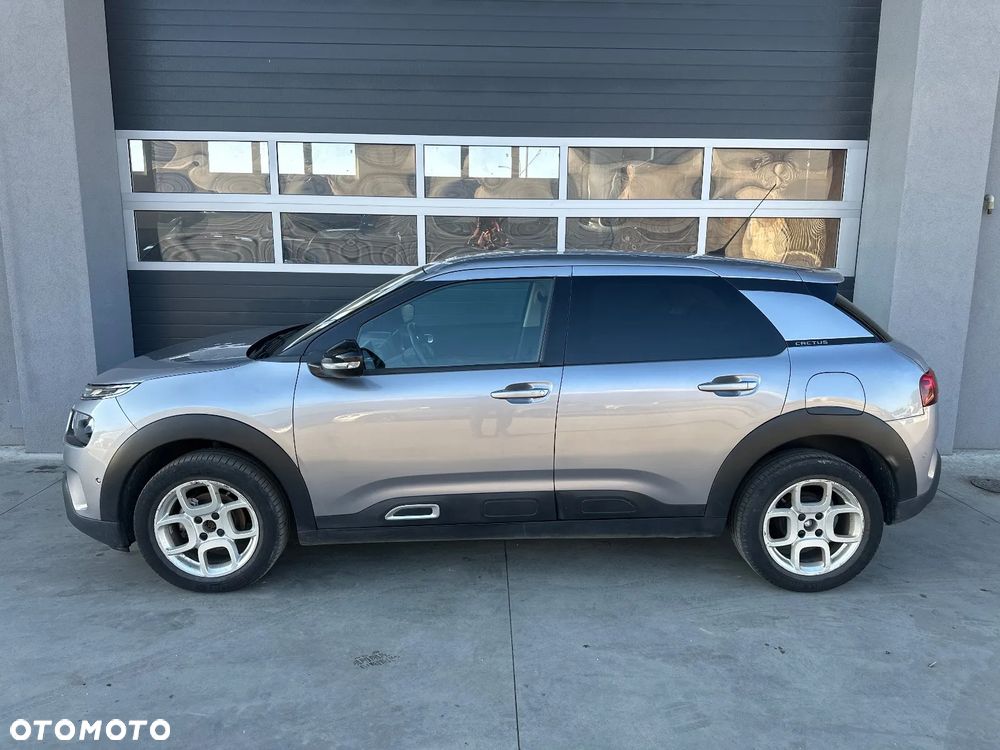 Citroën C4 Cactus 1.6 BlueHDi Shine - 3