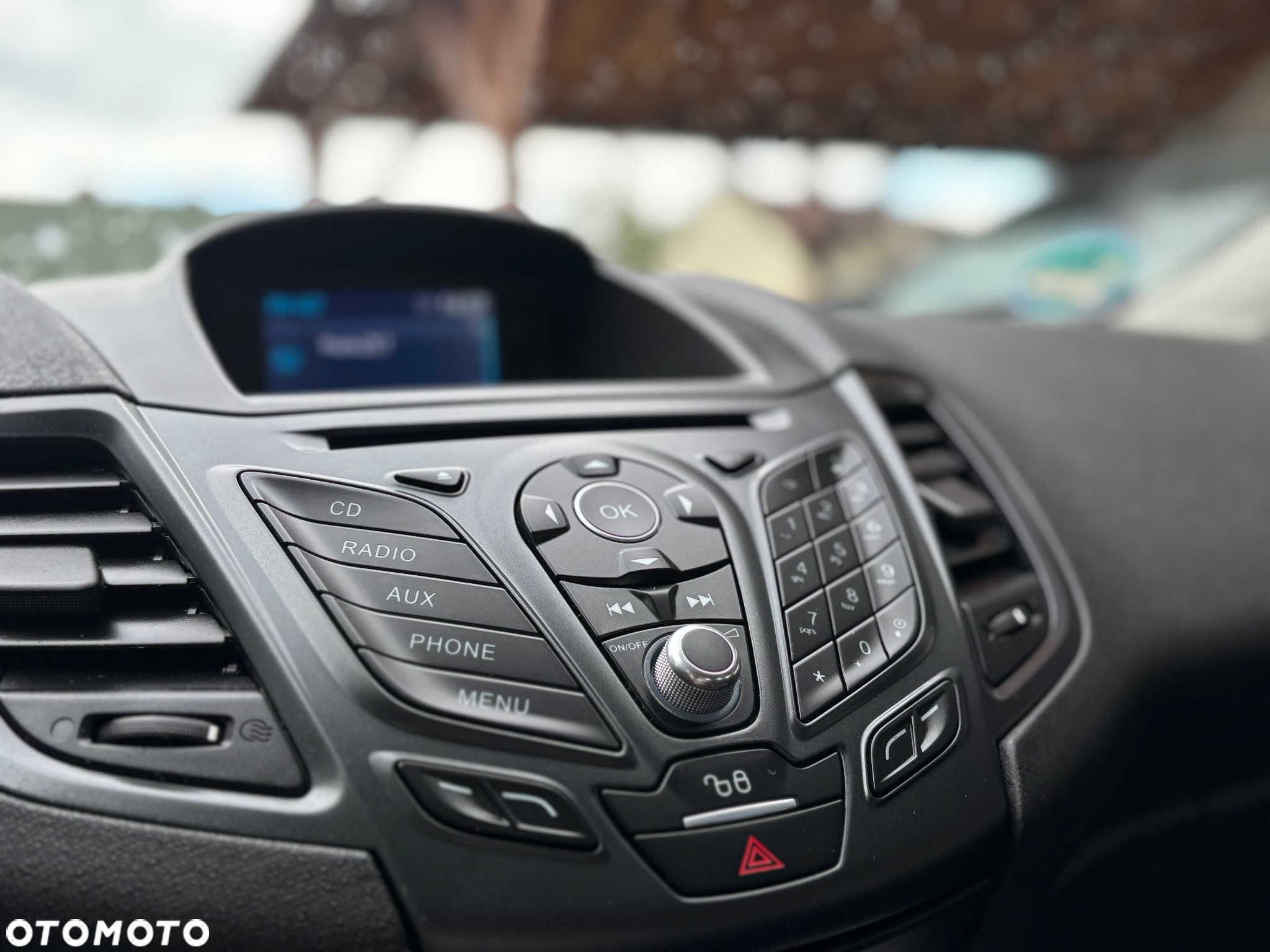Ford Fiesta - 13