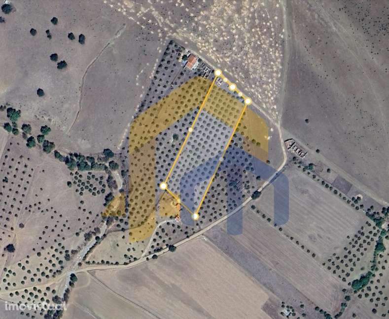 Quintinha  Venda em Santo Aleixo,Monforte - Grande imagem: 5/5