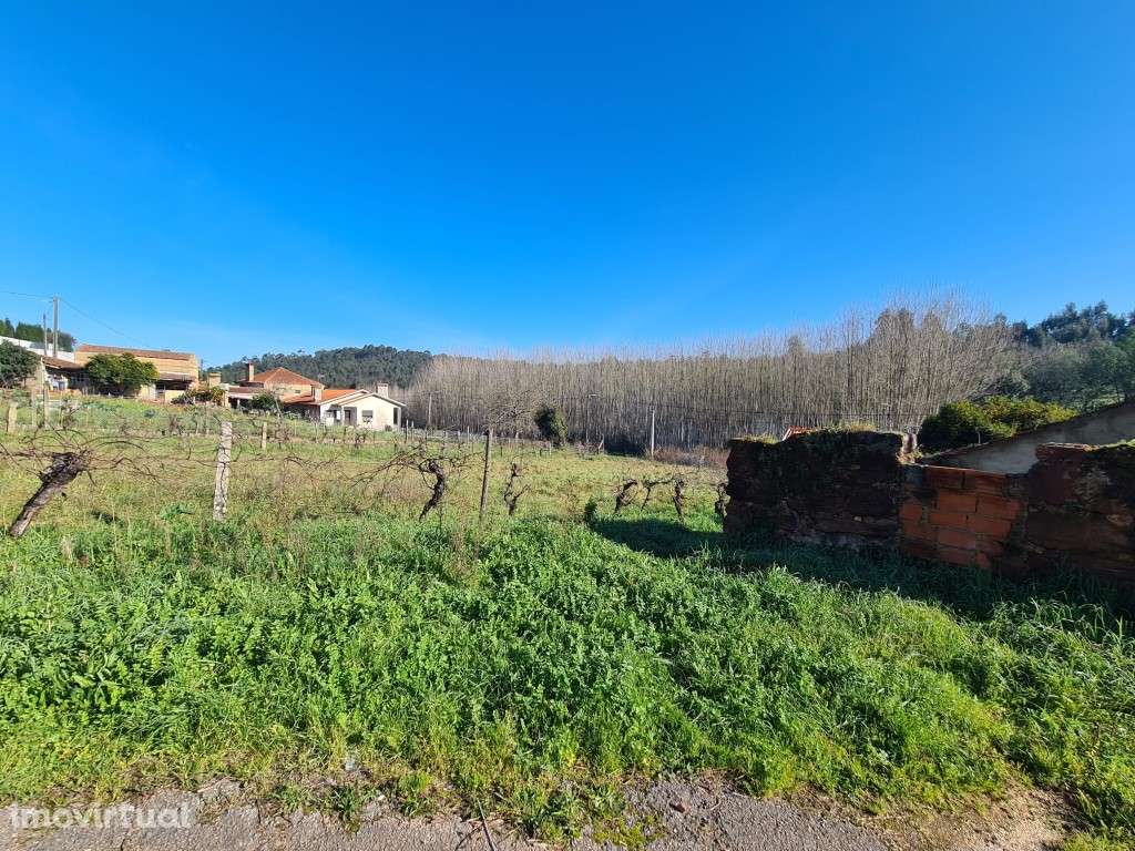 Terreno para construção na Piedade - Espinhel (Águeda) - Grande imagem: 4/7