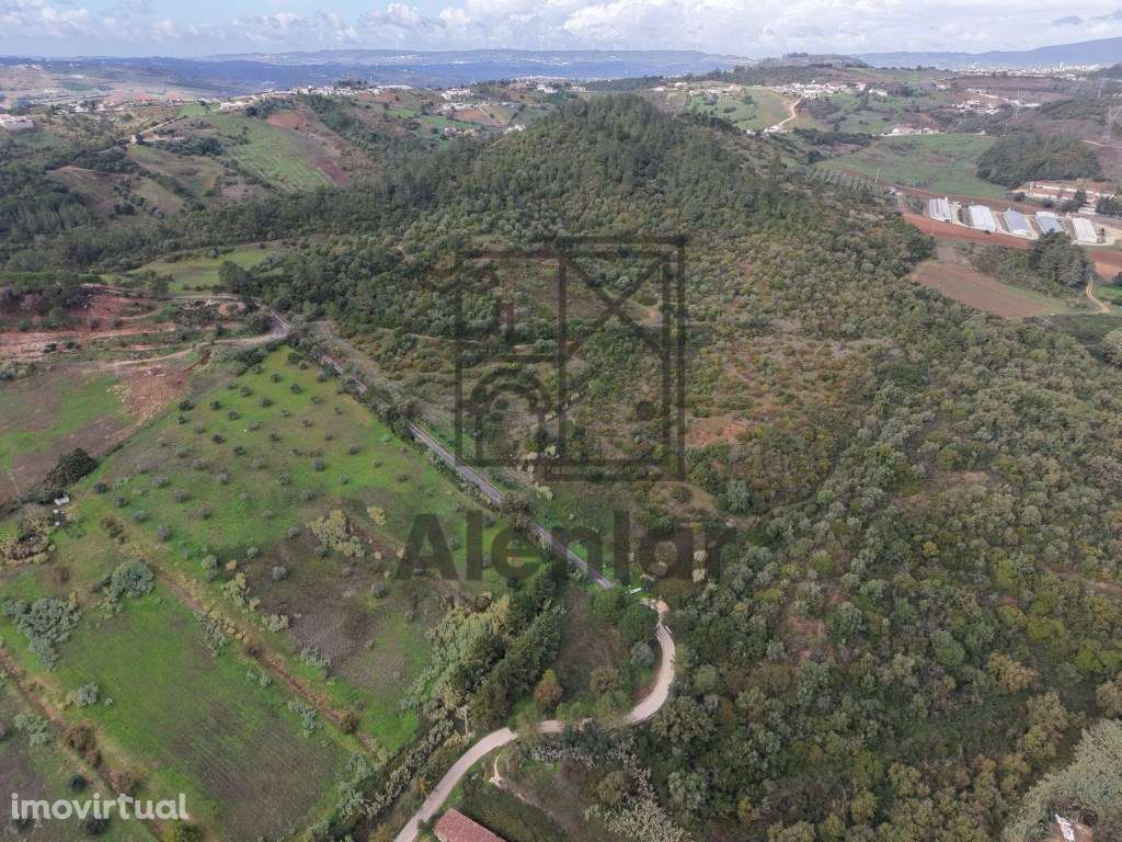 Oportunidade Única de Investimento Agrícola em Alenquer - Grande imagem: 4/27