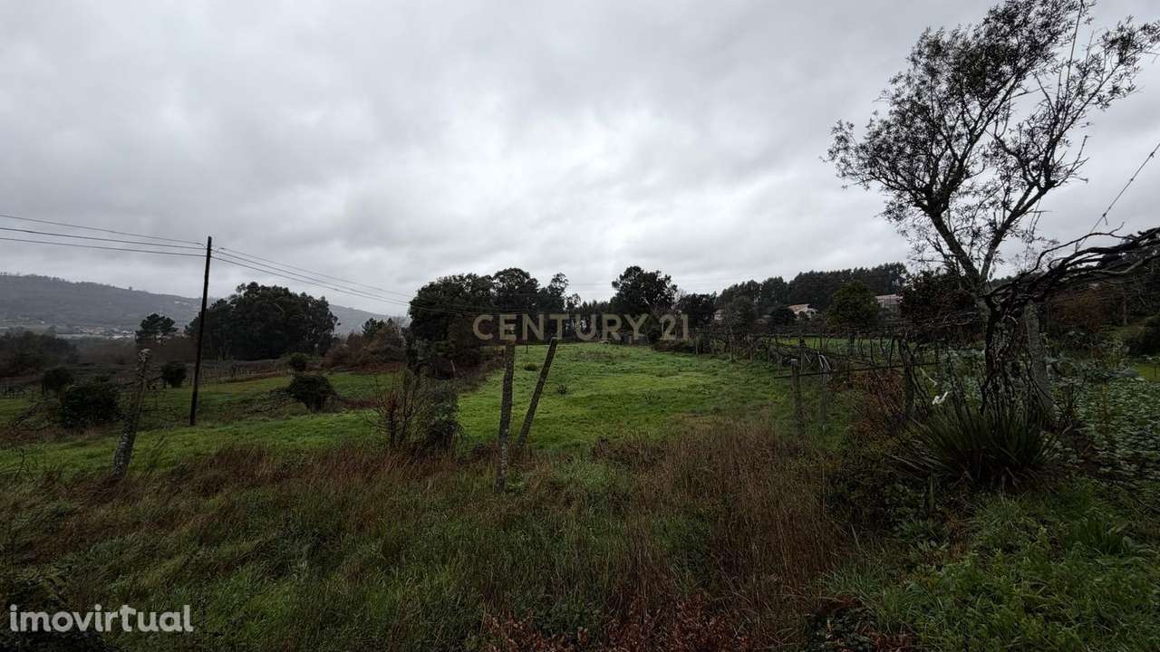 Terreno Rústico em Jugueiros – Portela, Penafiel - Grande imagem: 2/4