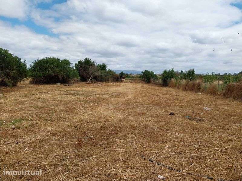 Odiaxere,Quinta 4440 m2 ,casa, horta, estábulos,300m lojas e Cafe - Grande imagem: 3/12