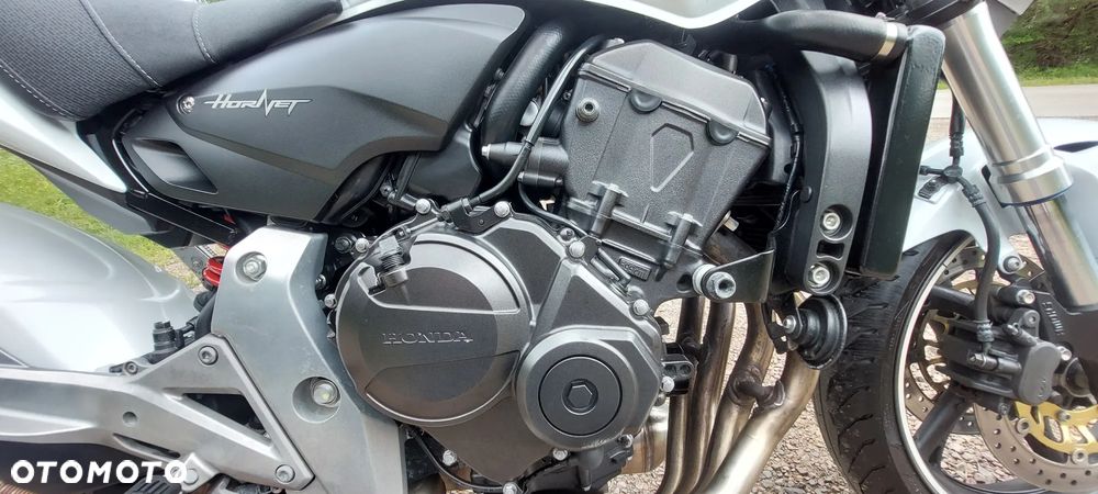 Honda Hornet - 14