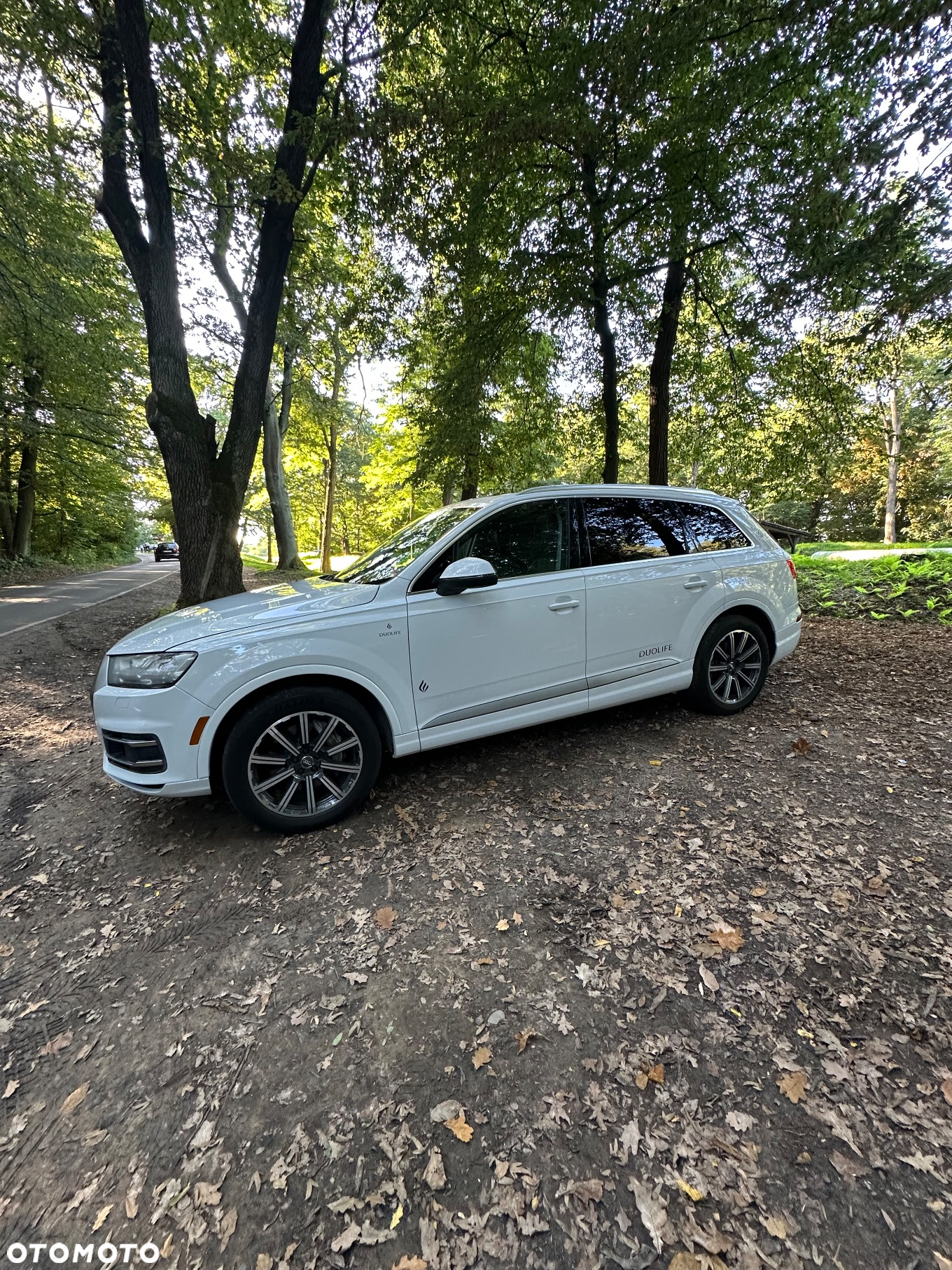 Audi Q7 3.0 TFSI Quattro Tiptronic - 14