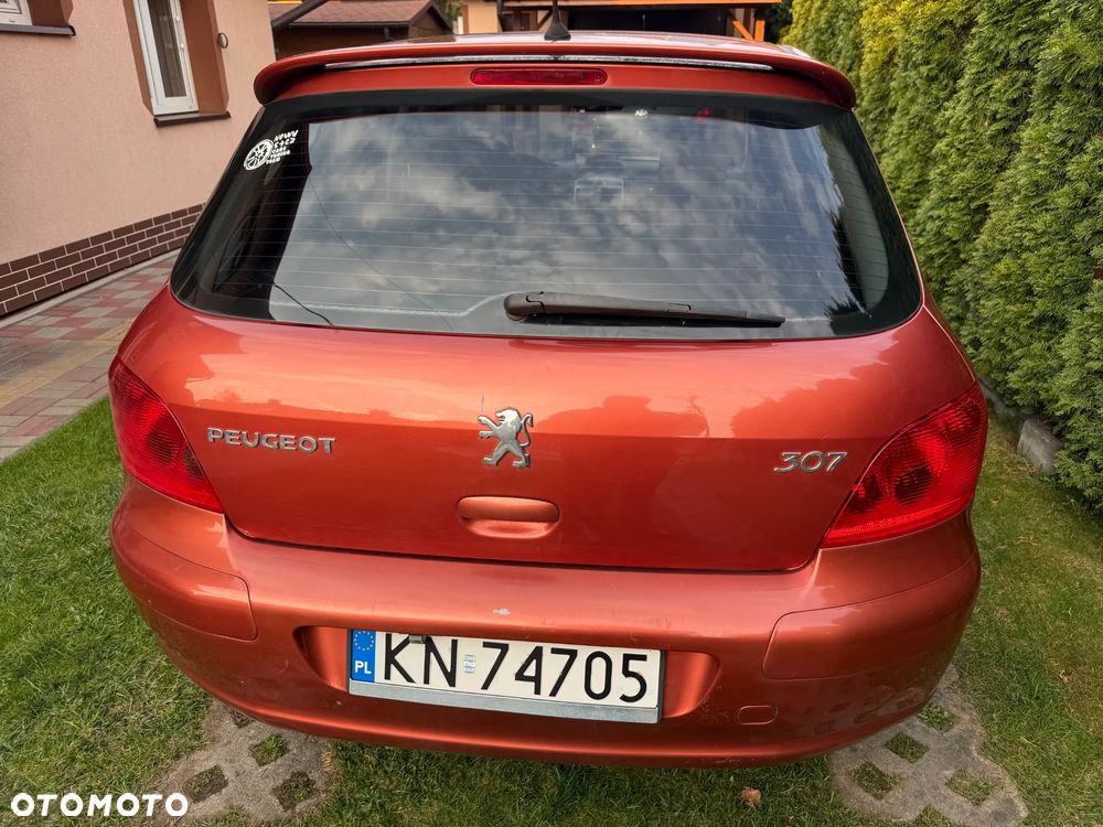 Peugeot 307 - 8