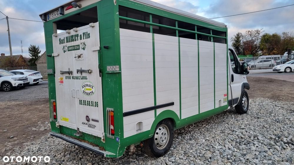 Fiat Ducato - 18