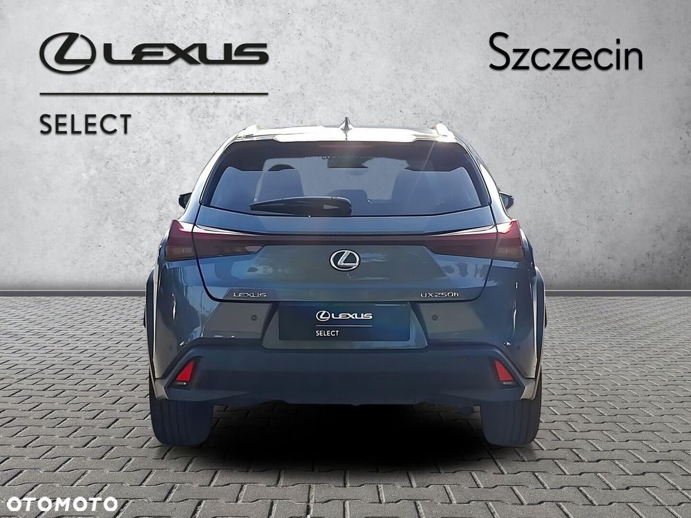Lexus UX 250h GPF Business 2WD - 4