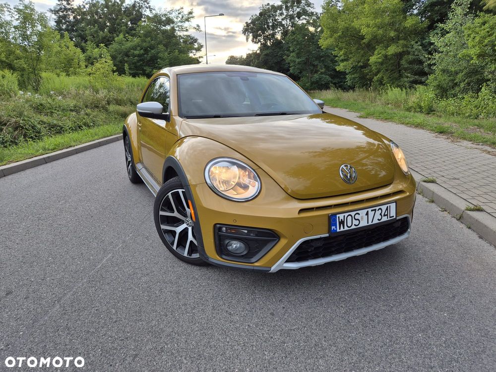 Volkswagen Beetle - 12