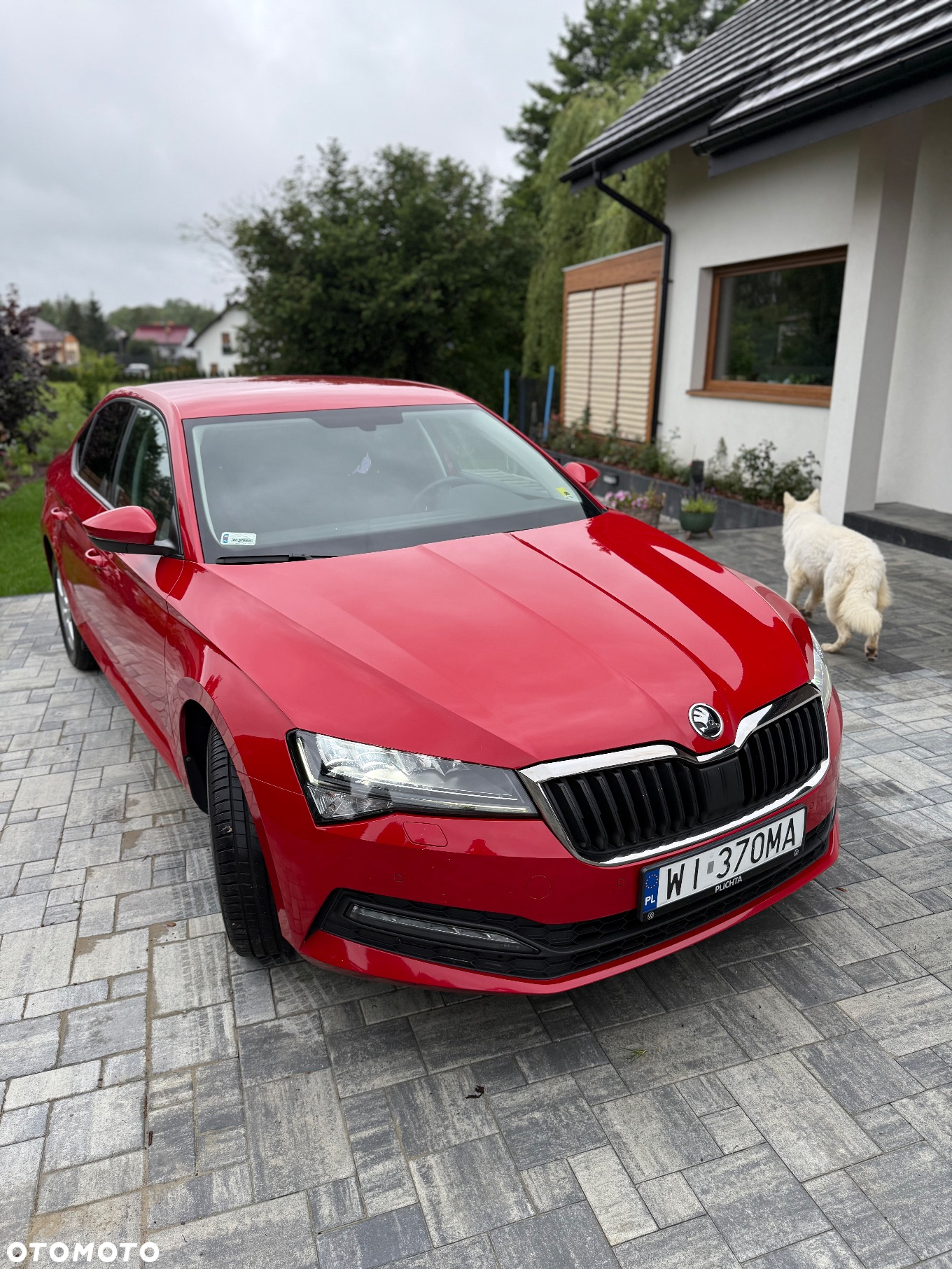 Skoda Superb 2.0 TDI SCR Ambition DSG - 6