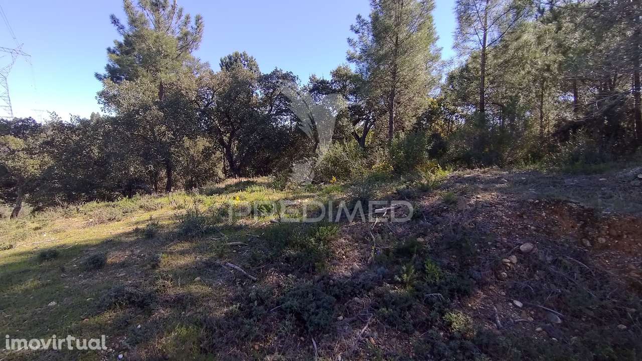 Terreno Rústico 1440 m2 - Grande imagem: 4/14