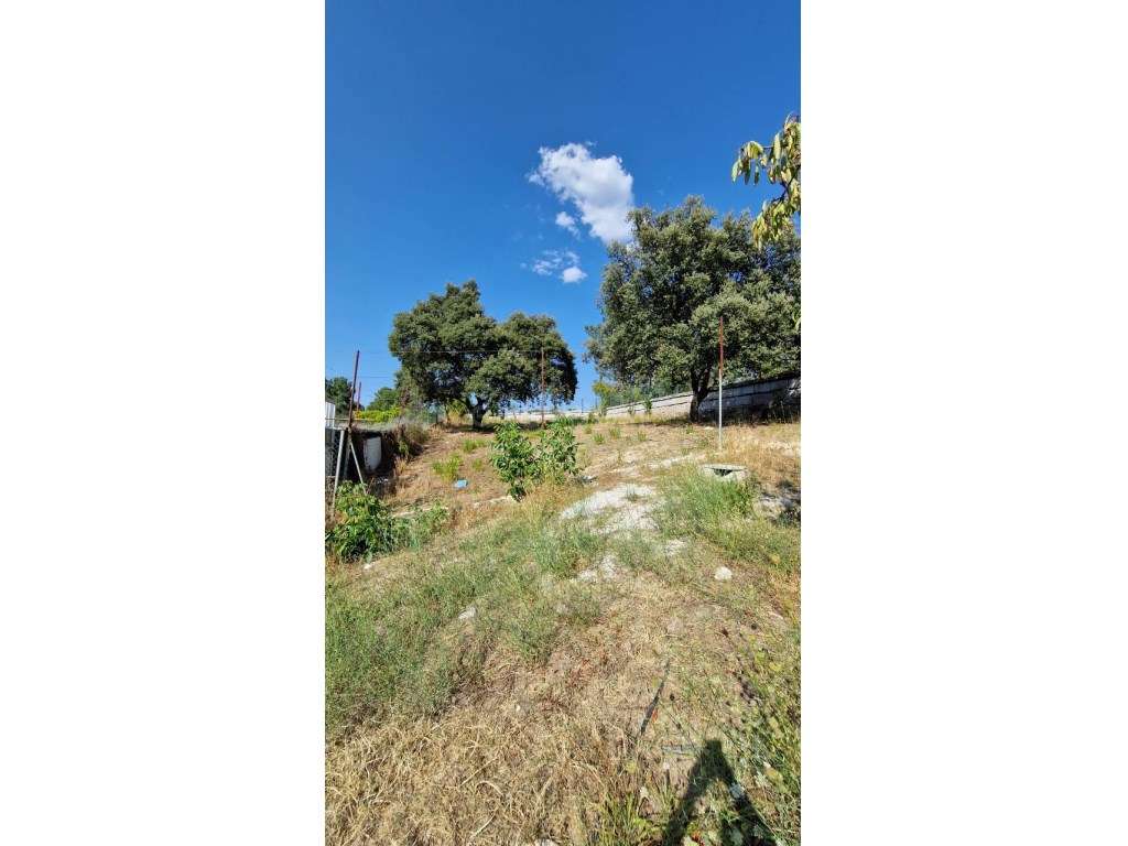 Terreno Rústico de 1998 m2, com poço de água e paineis solares. - Grande imagem: 3/7