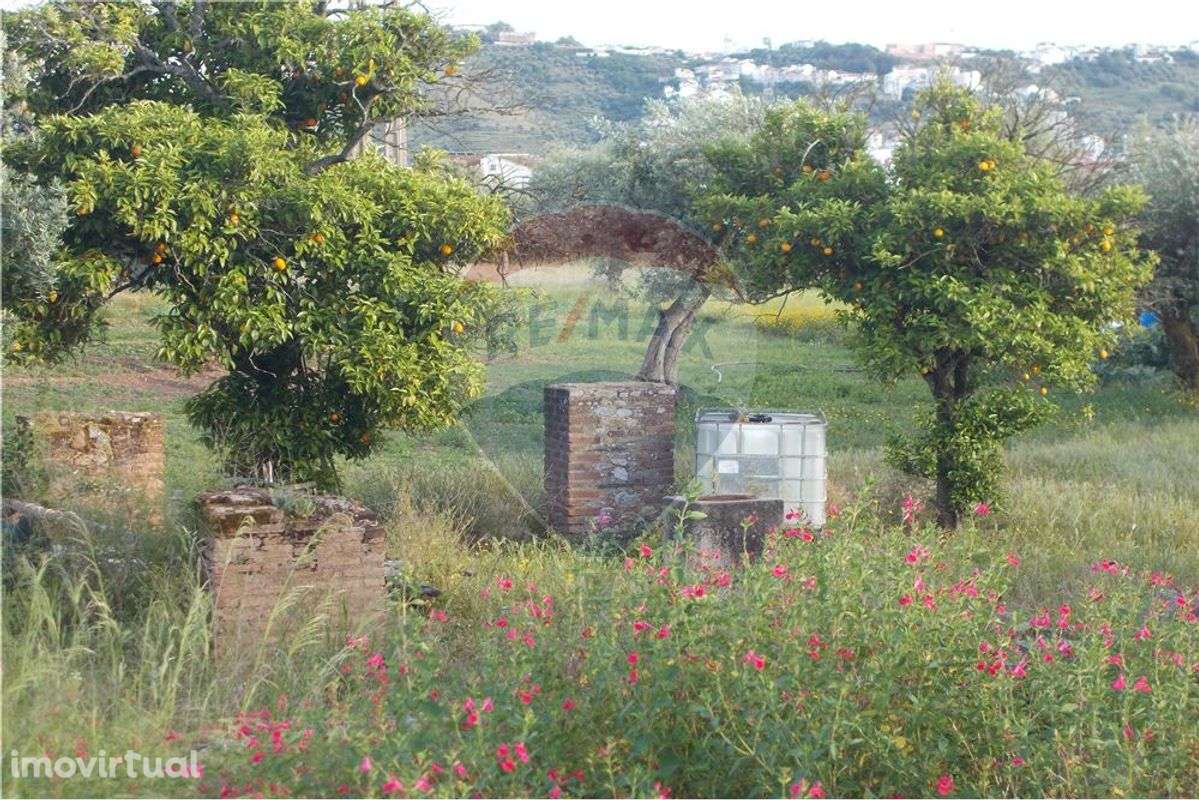 Terreno em Chainça - Grande imagem: 4/15