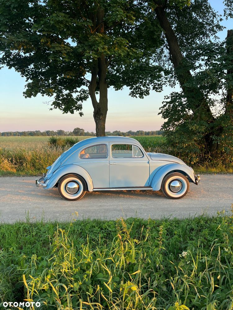 Volkswagen Garbus - 12