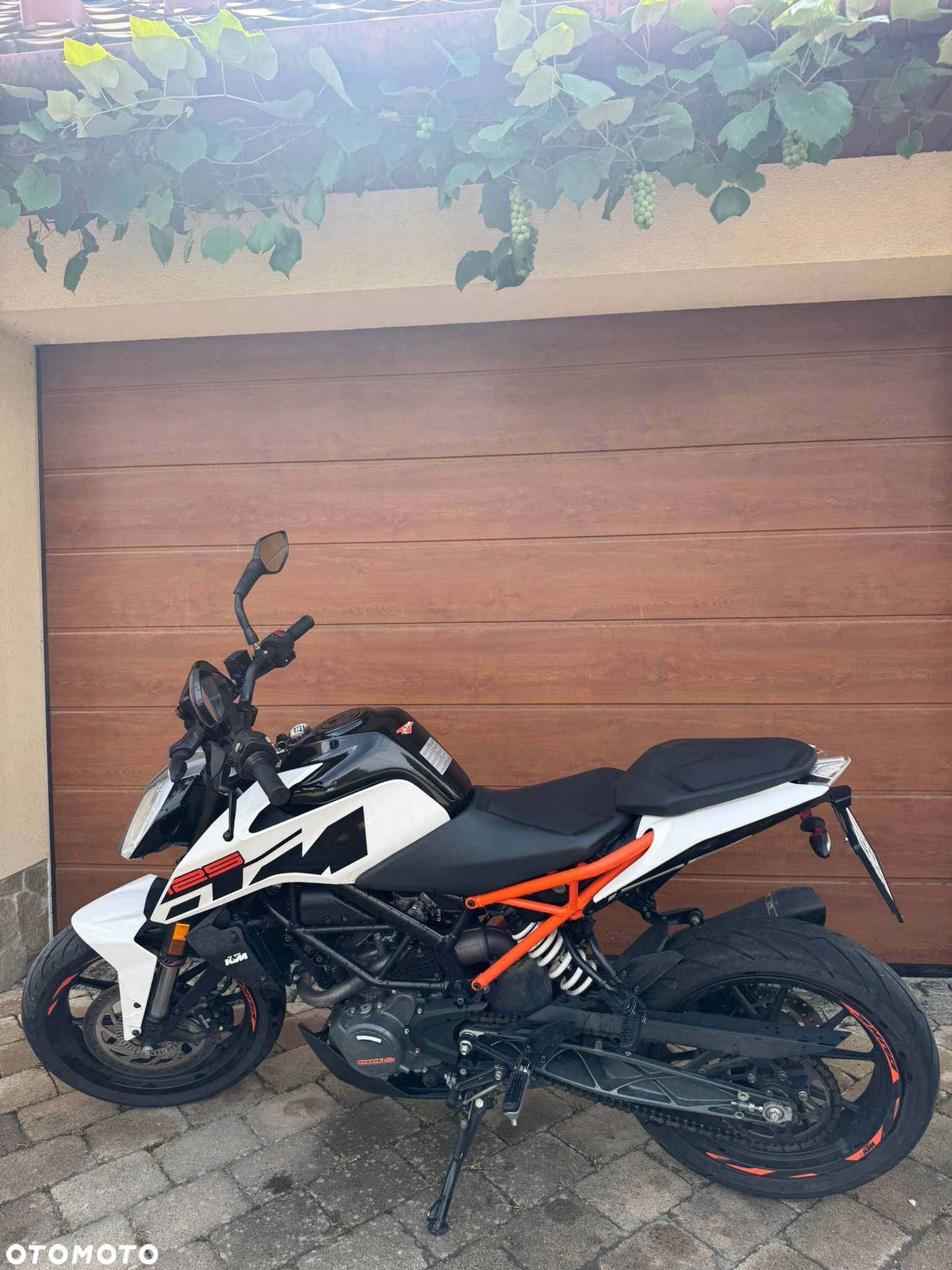 KTM Duke - 6