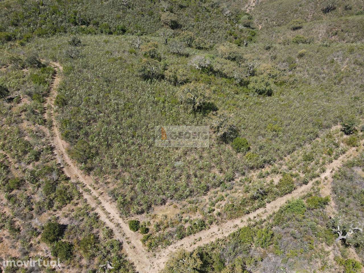 Terreno  Venda em São Barnabé,Almodôvar - Grande imagem: 2/7