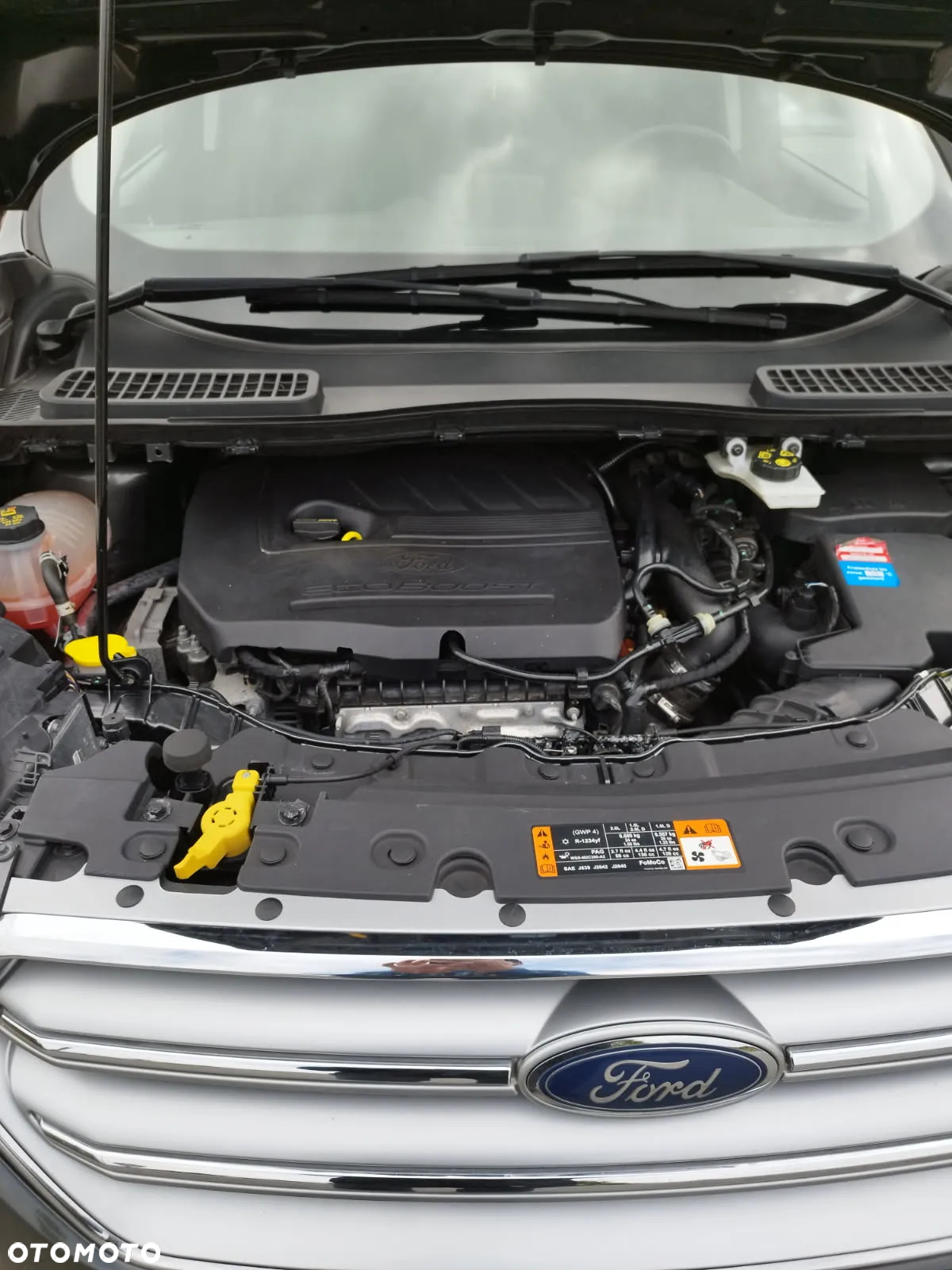 Ford Kuga 1.5 EcoBoost 2x4 Titanium - 31