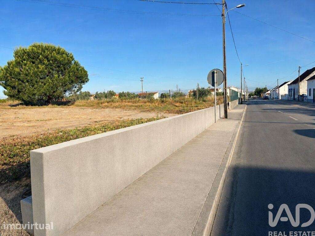 Terreno Agrícola em Almeirim - Grande imagem: 2/5