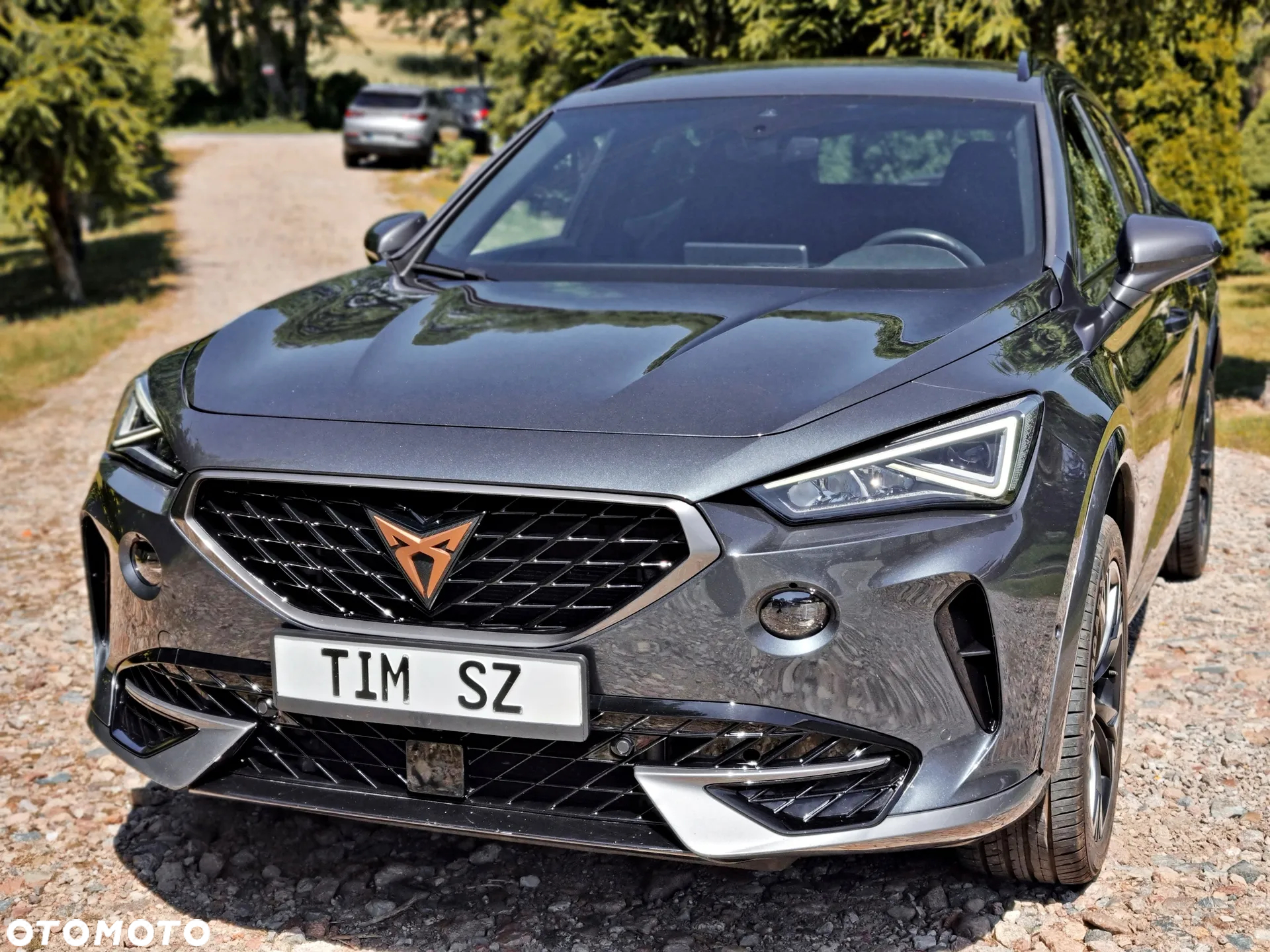 Cupra Formentor 2.0 TDI - 4