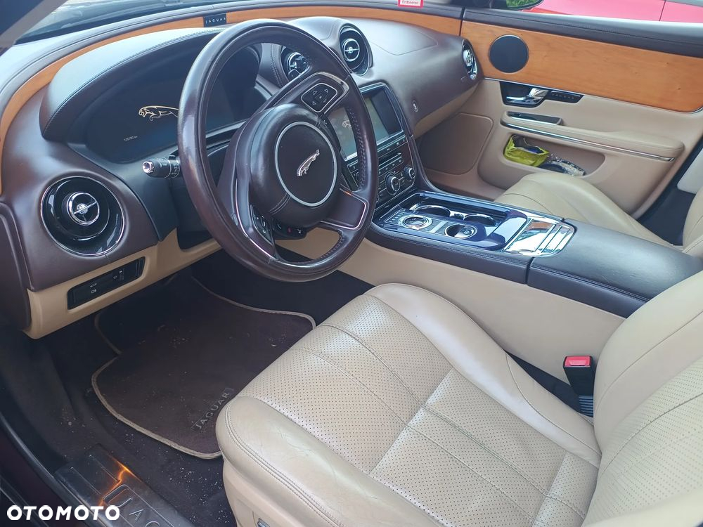 Jaguar XJ 3.0 D V6 Luxury - 13