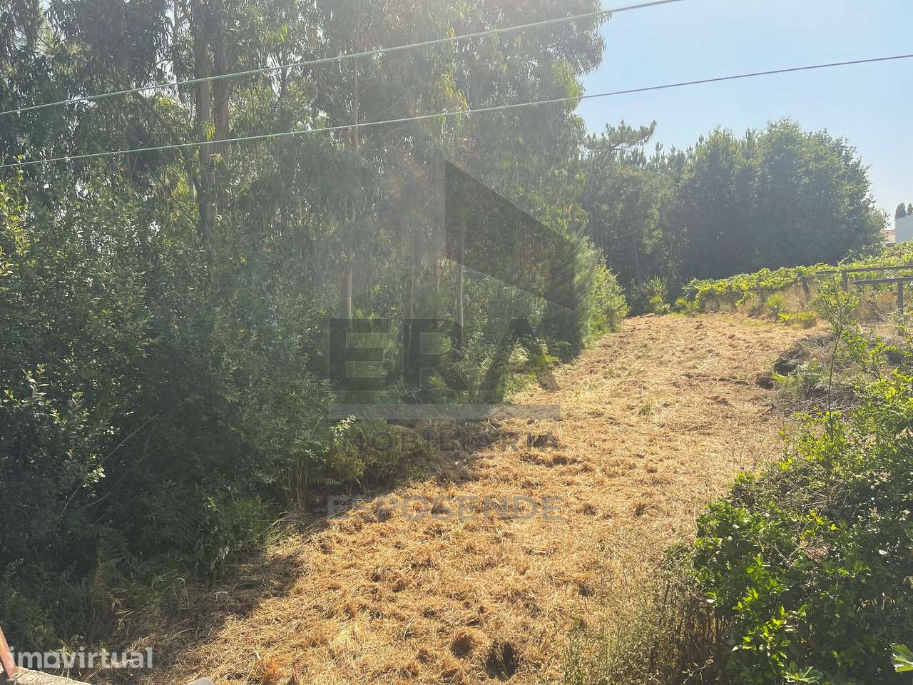 Terreno em Forjães - Grande imagem: 3/4