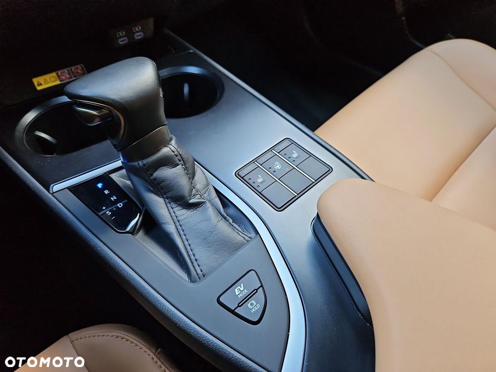 Lexus UX 250h GPF F Sport Design 2WD - 18