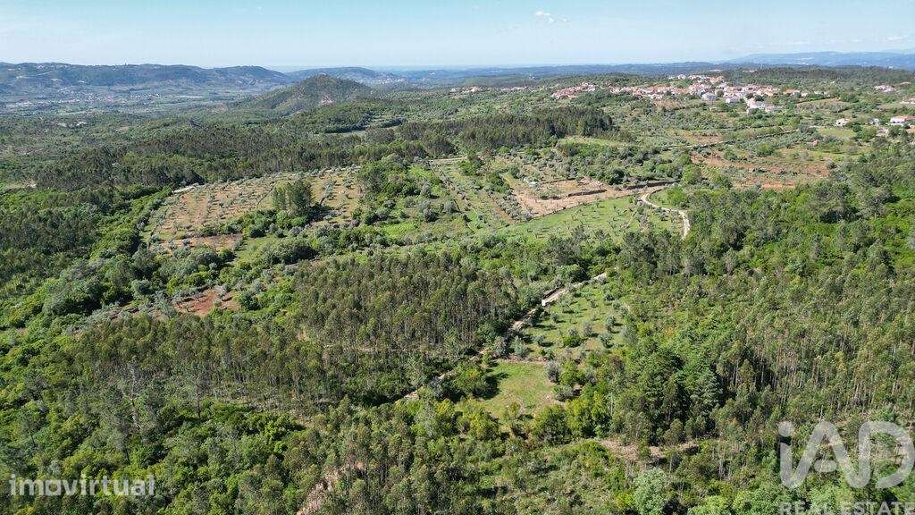 Terreno Agrícola em Alvorge - Grande imagem: 3/20