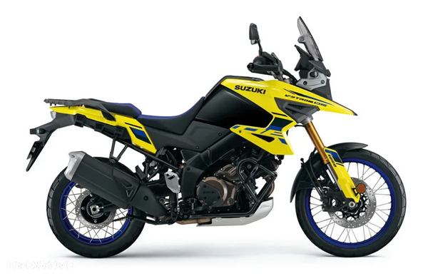 Suzuki DL