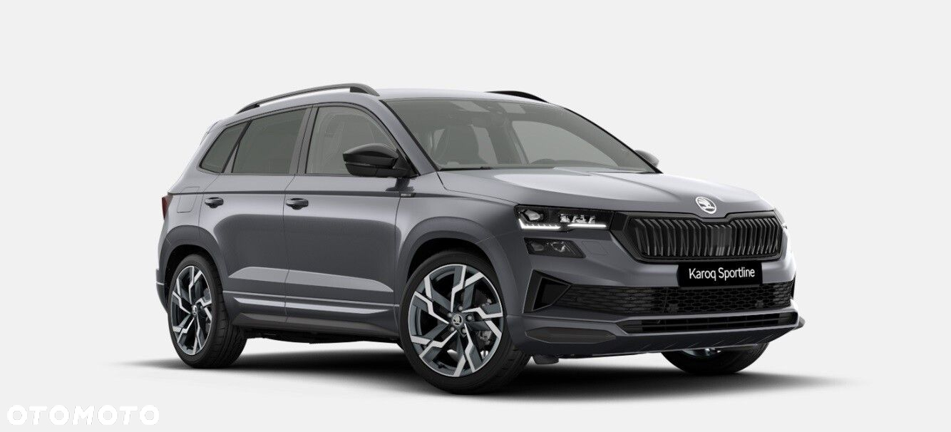 Skoda Karoq - 2