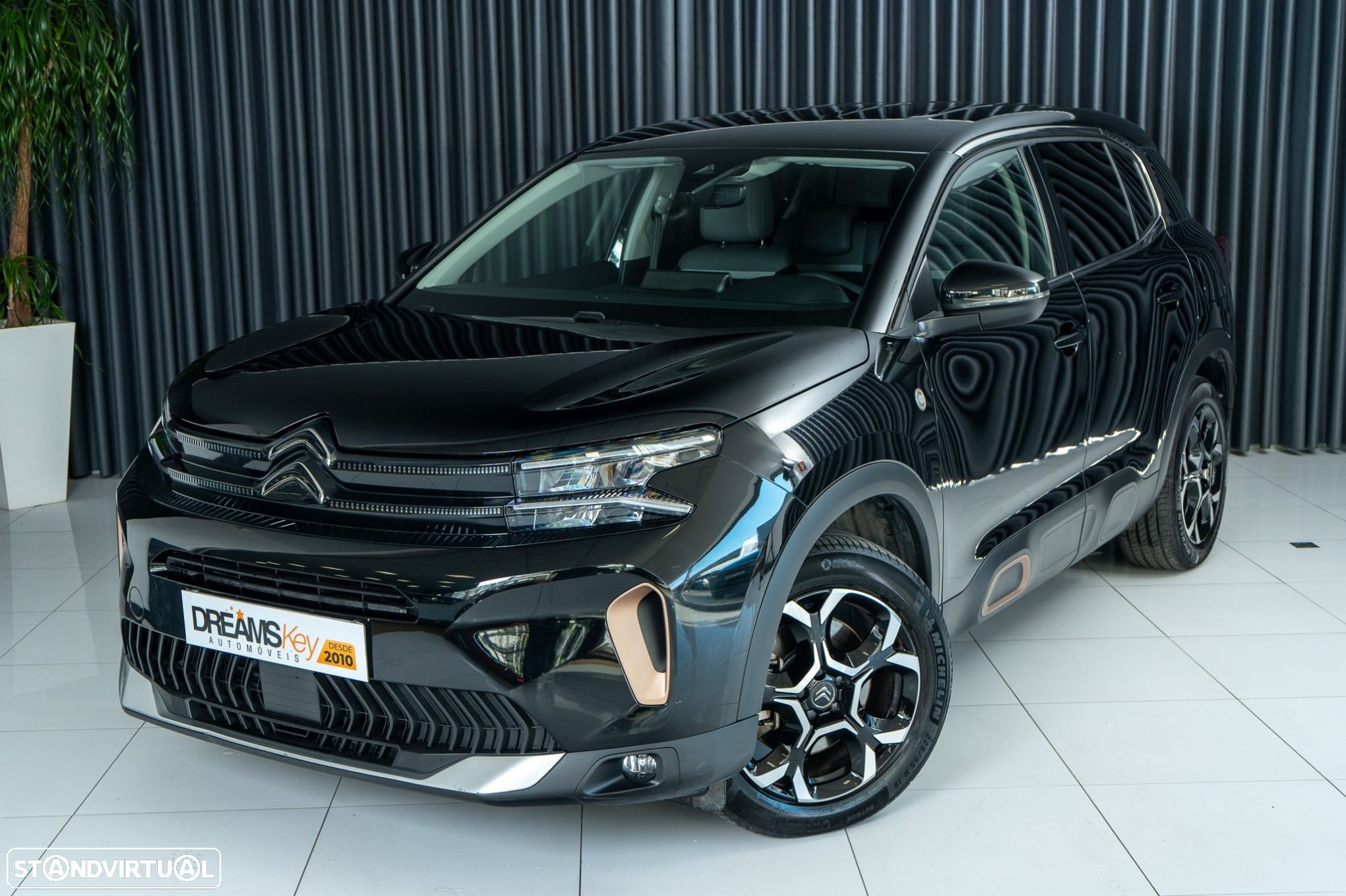 Citroën C5 Aircross 1.6 Hybrid C-Series e-EAT8 - 21