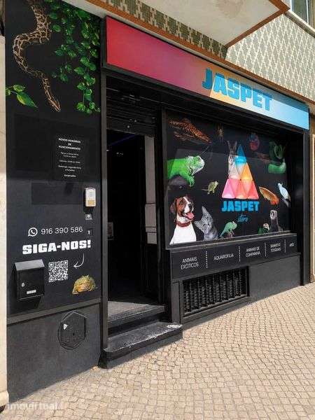 Trespasse Loja de Animais - Grande imagem: 4/12