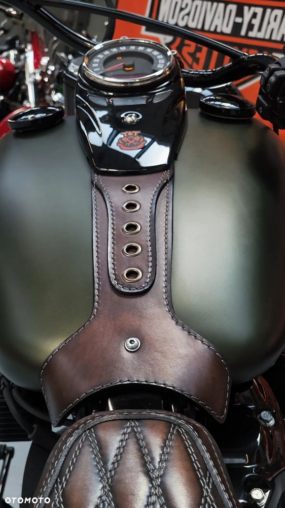 Harley-Davidson Softail - 35