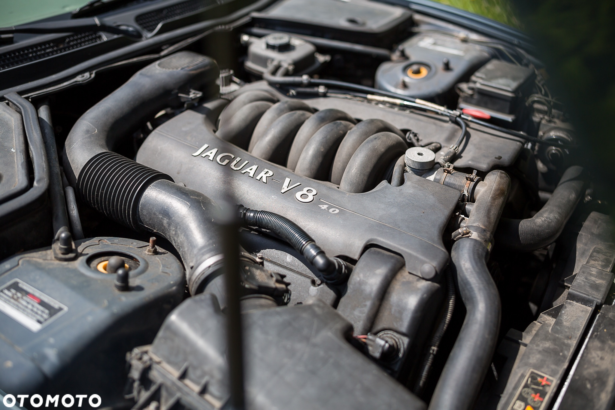 Jaguar XK8 4.0 - 14
