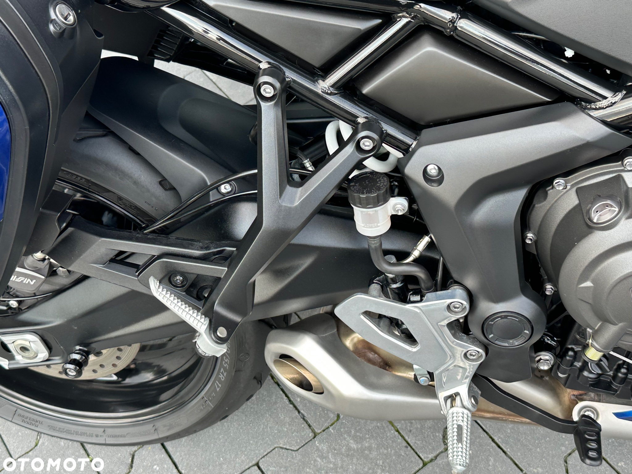 Triumph Tiger - 15