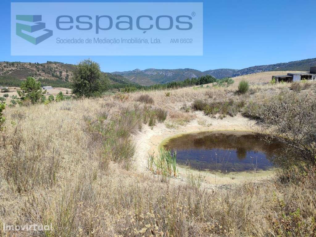 Quinta dos Mentelinhos - Monte do Arneiro - Grande imagem: 2/11