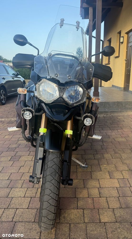 Triumph Tiger - 21