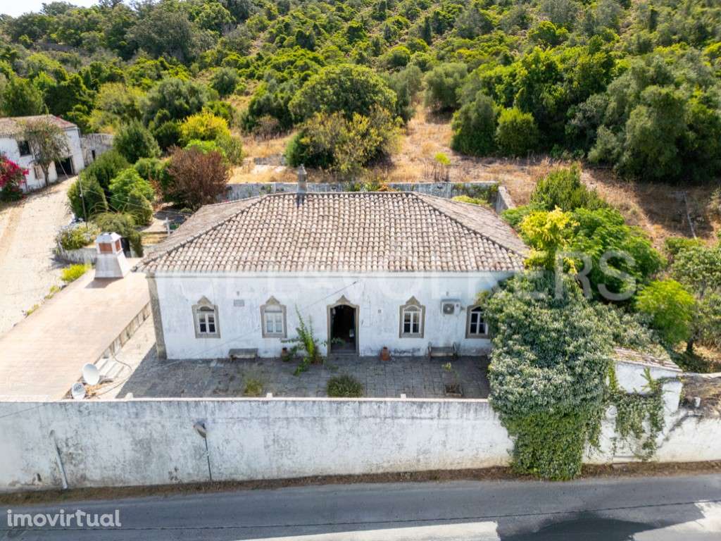 Propriedade tradicional com olival em São Brás de Alportel - Grande imagem: 3/23