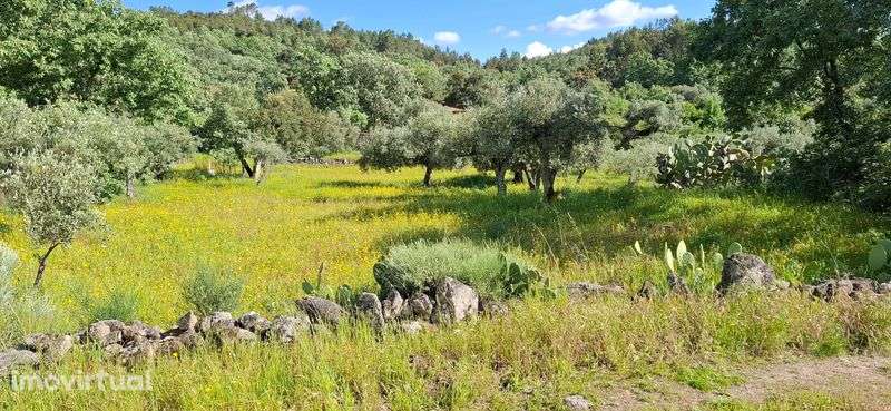 Terreno à venda em Salvador, Penamacor - Grande imagem: 5/12