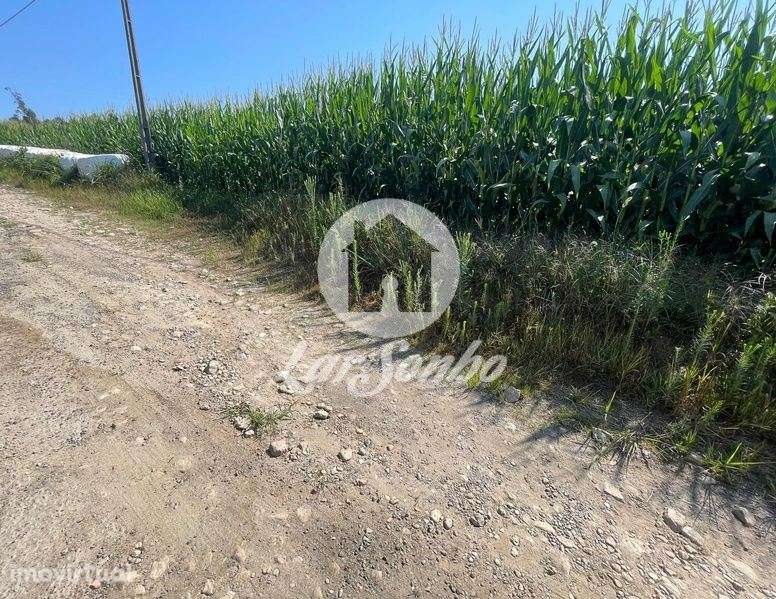 Terreno para moradia com 9.748m2 e 90m de frente em Parada, Vila do... - Grande imagem: 4/5