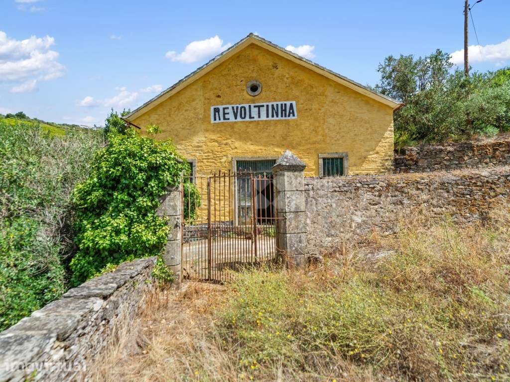 Quinta com 7,4 ha para venda em Fontelas, Douro - Grande imagem: 2/26
