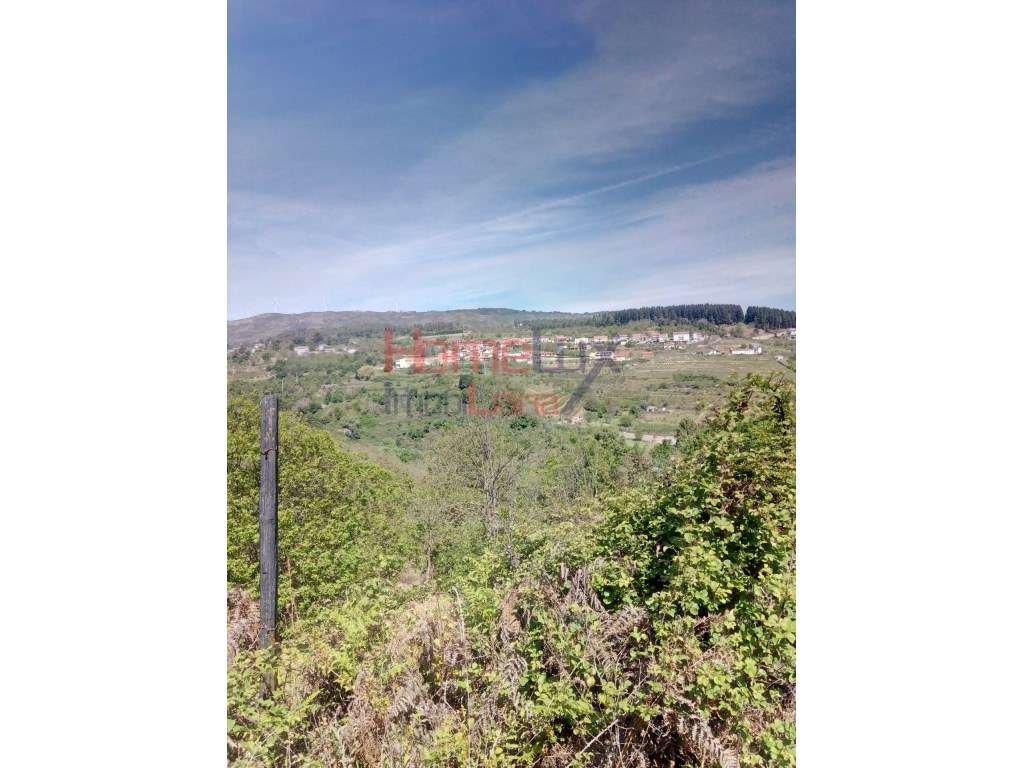 Terreno para venda em Lamego. - Grande imagem: 2/13